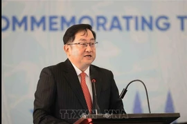 马来西亚驻越南大使陈扬泰。图自越通社