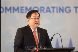 马来西亚驻越南大使陈扬泰。图自越通社