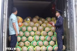 友谊口岸海关干部对出口产品进行检查。图自越通社