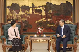 政府常务副总理范家足在5月27日下午会见亚投行行长邹加怡。图自越通社
