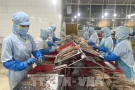附图。图自越通社
