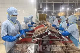 附图。图自越通社