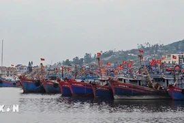 附图。图自越通社