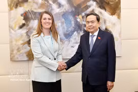 越南国会主席陈青敏会见意越友好议员小组主席基亚拉·格里鲍多。图自越通社