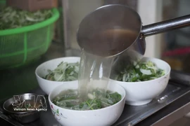 附图。图自越通社