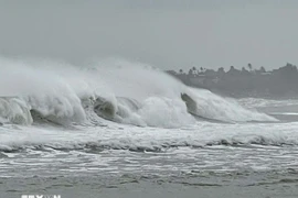 热带低压快速移动 预计11月25日晚进入东海