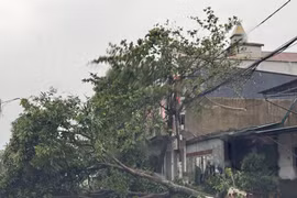 5号台风肆虐中部 越南多地人员伤亡 财产损失初步统计