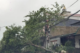 5号台风肆虐中部 越南多地人员伤亡 财产损失初步统计