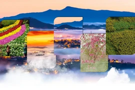 林同省大叻被列入2025年夏季最具性价比旅游目的地