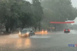 第3号台风登 越南北部与北中部地区持续出现强降雨