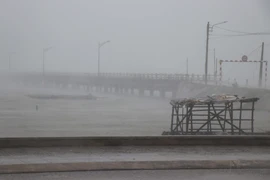 第13号台风最新消息：残余环流致越南中部地区多地出现强潮与内涝