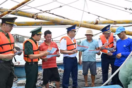 胡志明市坚决打击IUU捕捞 全力以赴解除黄牌警告