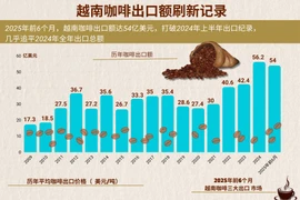 2025年前6月越南咖啡出口金额刷新记录