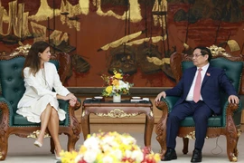 越南政府总理范明政：建议美国GE Vernova公司在越南长期投资