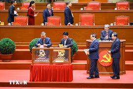 越南共产党第十四届中央委员会：成员结构一览