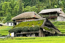 苔屋村的坚守：守护西昆岭脚下的文化记忆