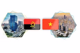 越南－安哥拉传统友好关系