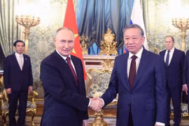 越共中央总书记苏林与俄罗斯联邦总统弗拉基米尔·普京举行小范围会谈