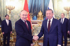 越共中央总书记苏林与俄罗斯联邦总统弗拉基米尔·普京举行小范围会谈