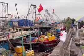 海防市与全国一道努力解除IUU“黄牌”警告
