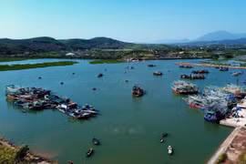 解除IUU“黄牌”警告：广宁省正集中力量实施突破性解决方案