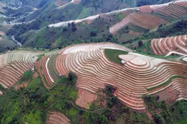 梯田是西北高山地区一道亮丽的风景线，尤其是在稻谷成熟待收和注水时节，景色格外迷人。图自 越通社