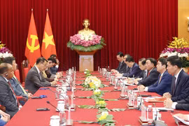 越南重视深化同东南亚各国政党的党际关系