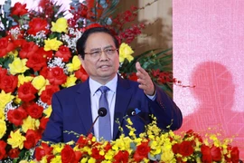 越南电力集团必须满足国家发展的用电需求