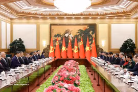 越共中央总书记、国家主席苏林与中共中央总书记、国家主席习近平举行会谈