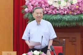 继续主动审查、完善提交越共第十四次全国代表大会的文件草案