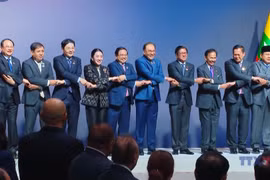 从积极参与到战略引领：越南加入东盟30年的蜕变之路