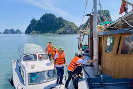 越南北部各省和各方力量全力以赴应对第9号台风