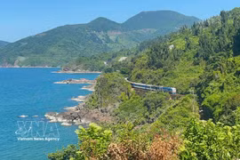 海云山脚下，一块块深灰色岩石散落其间，宛如大自然镶嵌在陵姑湾碧海之间的粗犷拼图，与柔美的海景形成鲜明对比。图自 越通社