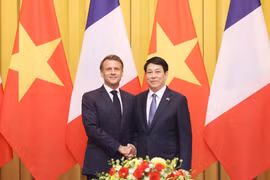 越南国家主席梁强与法国总统埃马纽埃尔·马克龙举行会谈