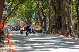 潘廷逢路人行道正加紧修整。图自越通社