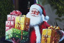 圣诞将至宁平省流光溢彩