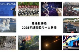 越通社评选2025年越南国内十大新闻
