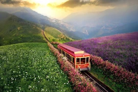 芒花山地观光小火车为来到沙坝的游客增添绿色旅游新体验。图源：越通社发布