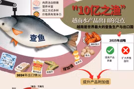 查鱼的独特价值 助力其成为越南出口亮点
