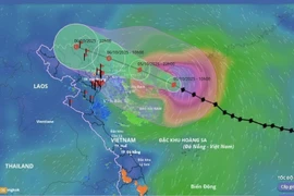 第11号台风阵风可达16级
