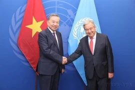 在出席第79届联合国大会并访问美国期间，当地时间2024年9月24日下午（越南时间9月25日上午），越共中央总书记、国家主席苏林在纽约会见联合国秘书长安东尼奥•古特雷斯。图自越通社