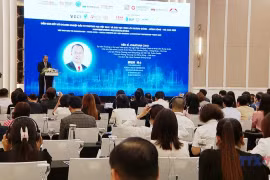 强越南与粤港澳大湾区经贸投资合作