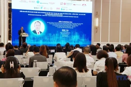 强越南与粤港澳大湾区经贸投资合作