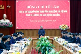 越共中央总书记苏林莅临高平省调研