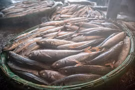 刚出锅的热腾腾鱼散发出扑鼻的海味。图自 越通社