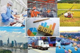 2026年前两个月越南经济运行亮点纷呈