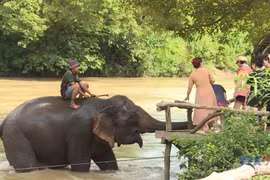得乐省打造海洋与西原文化交融的旅游新格局