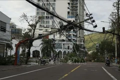 第13号台风造成损失严重。图自越通社