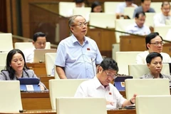 太平省代表阮文伸发表讲话。图自越通社