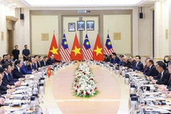越南政府总理范明政与马来西亚总理易卜拉欣举行会谈。图自越通社